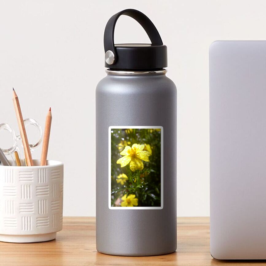 Eßbare Gewürz-Tagetes Sticker