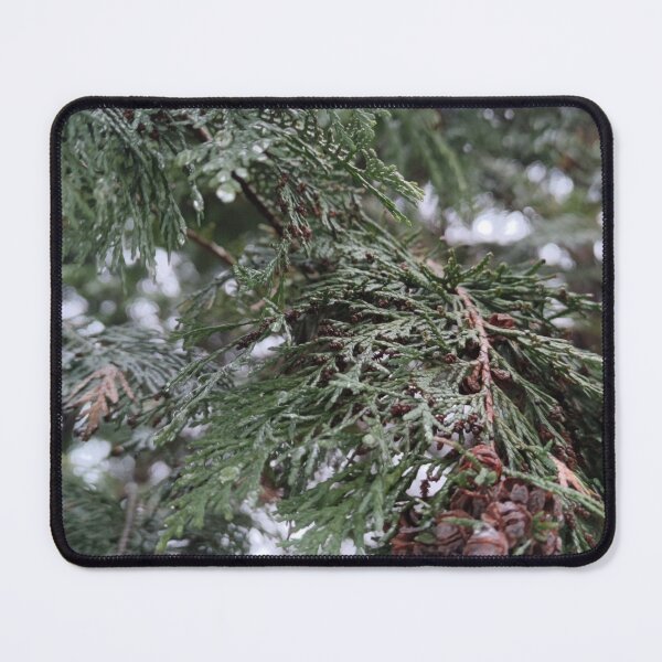 Item preview, No one promised me snow but I was expecting it in winter designed and sold by tshuki.