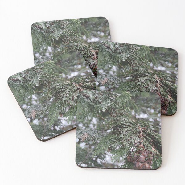 Item preview, No one promised me snow but I was expecting it in winter designed and sold by tshuki.