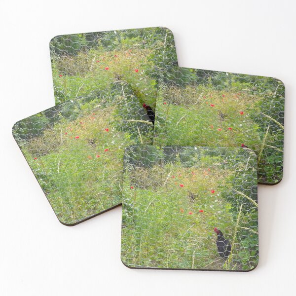 Item preview, Black chickens behind chicken wire with red poppies. designed and sold by claireseyeview.