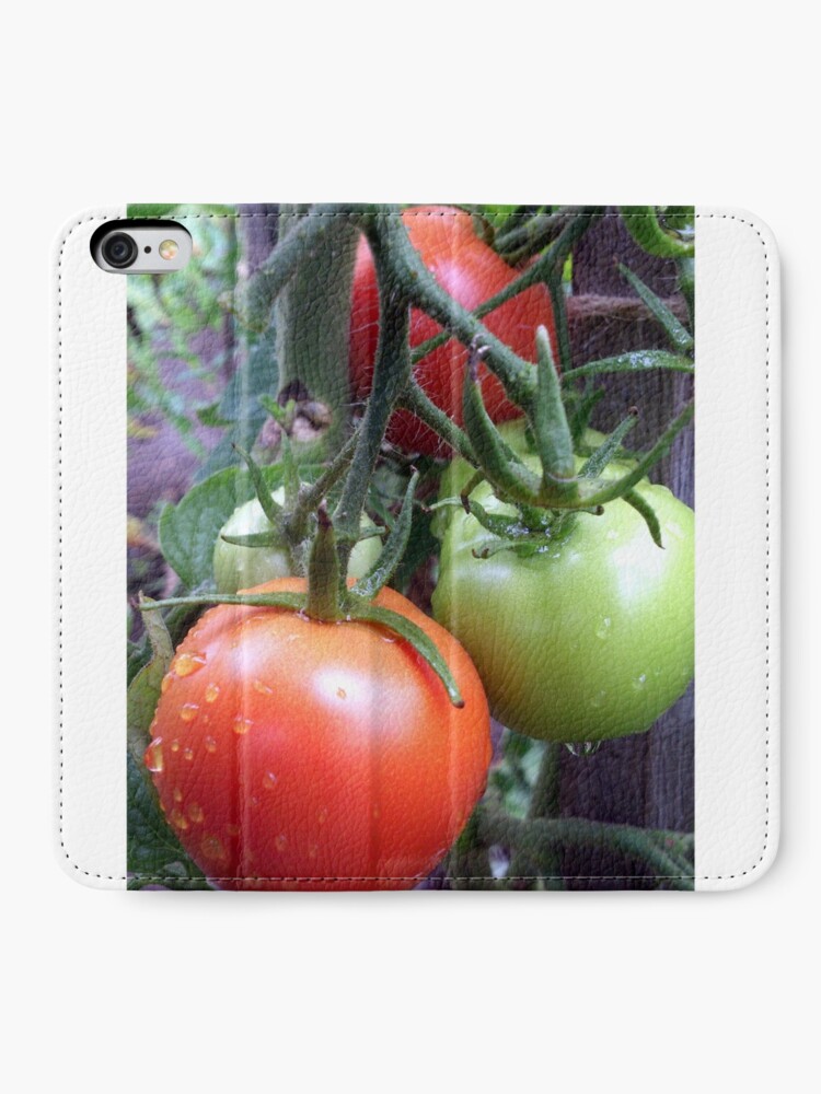 Alternative Ansicht von Leckere Tomaten iPhone Flip-Case
