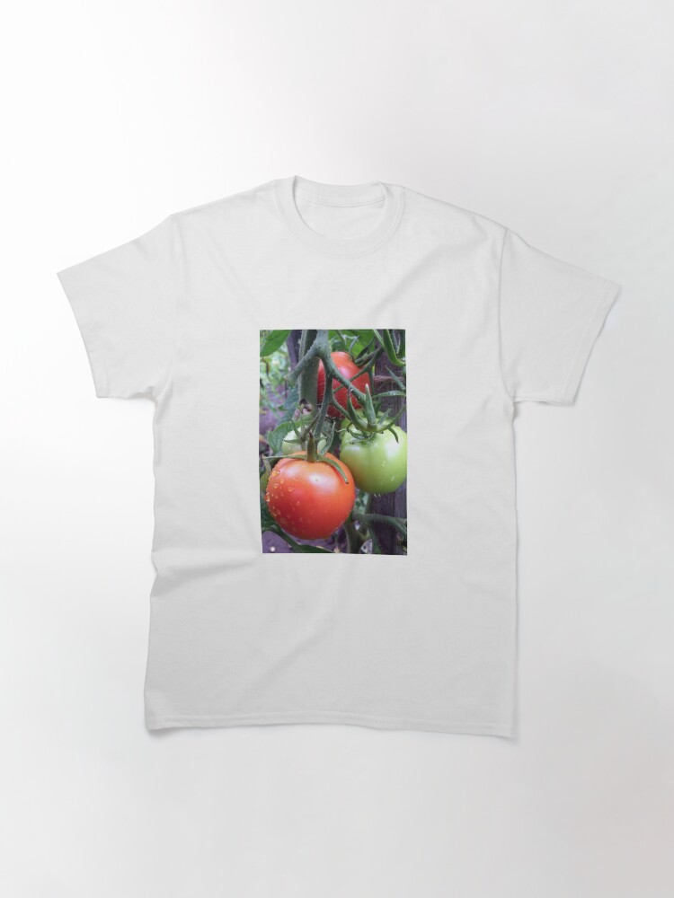 Alternative Ansicht von Leckere Tomaten Classic T-Shirt