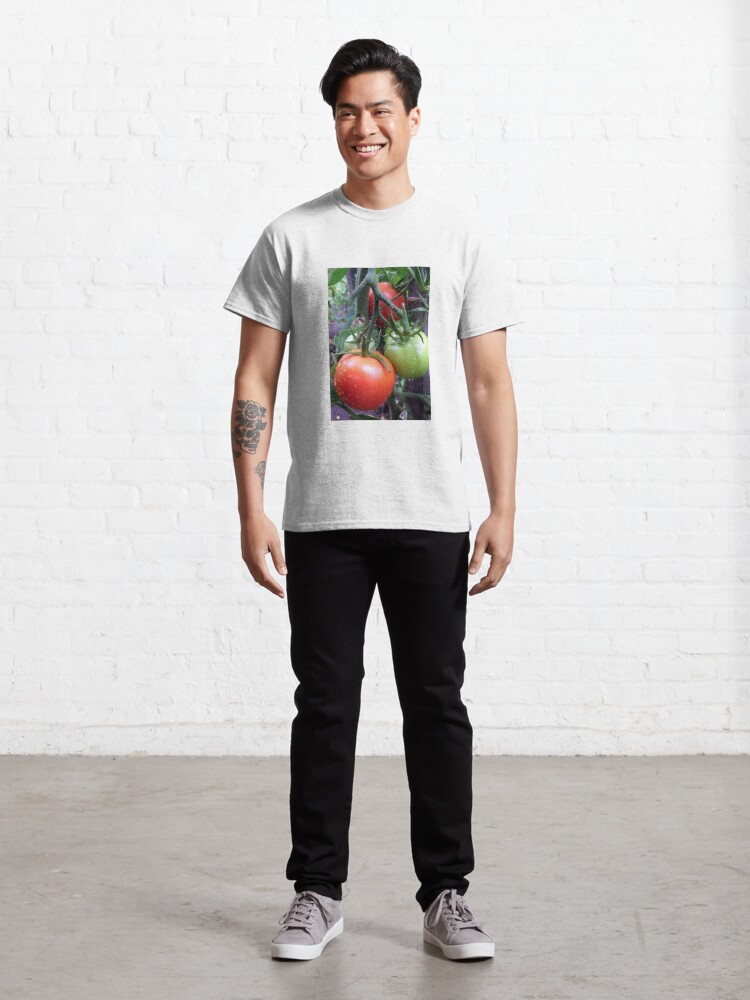 Alternative Ansicht von Leckere Tomaten Classic T-Shirt
