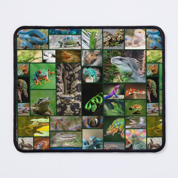 Item preview, Reptile Pattern Photo Collage designed and sold by sweetbelle.