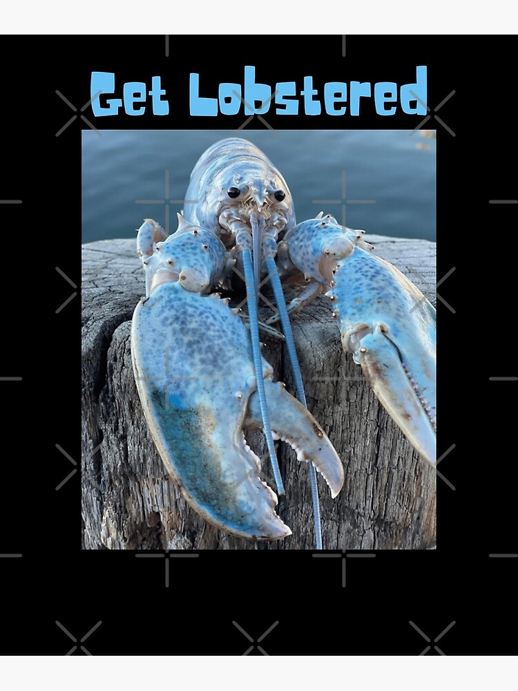 "Funny Jumpscare Lobster Meme Blue Crustacean Get Lobstered " Poster