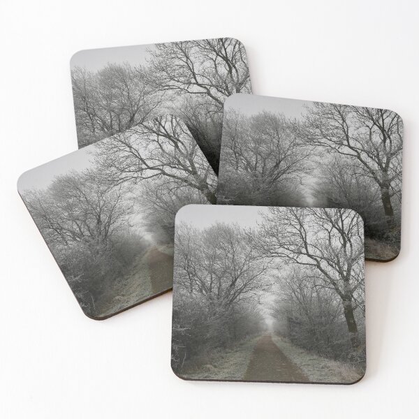 Item preview, Frozen pathway in freezing fog designed and sold by esvb.