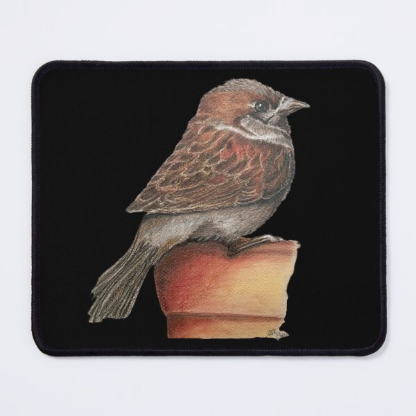 Item preview, Sparrow on terracotta pot | bird lover designed and sold by NathBros.