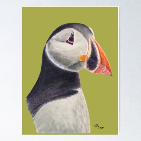 Item preview, Puffin | shearwaters lover designed and sold by NathBros.