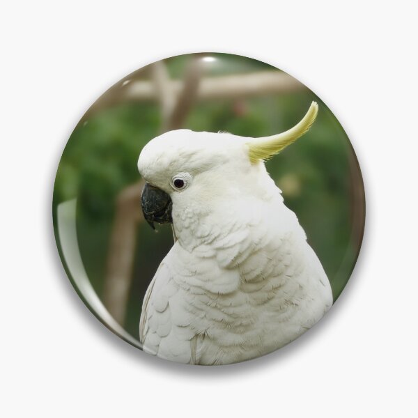 Item preview, Sulpher crested Cockatoo designed and sold by jaynerushton.