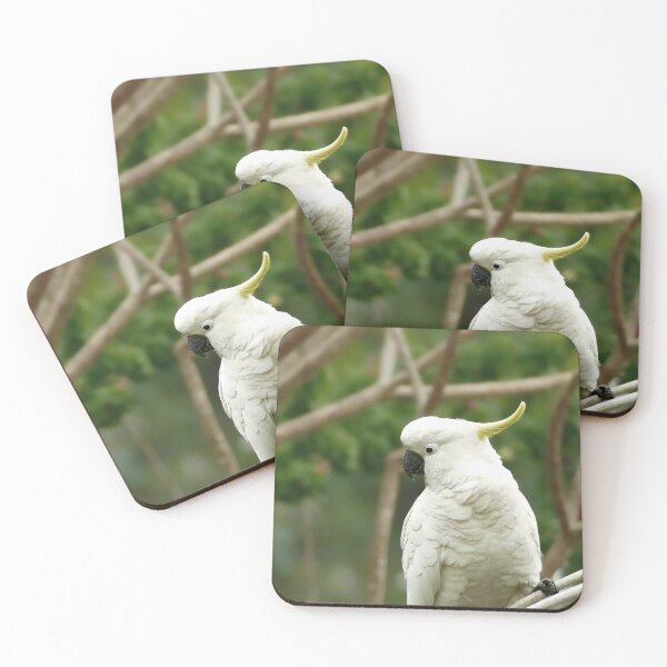 Item preview, Sulpher crested Cockatoo designed and sold by jaynerushton.