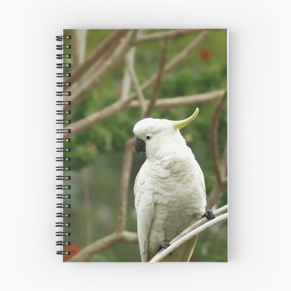Item preview, Sulpher crested Cockatoo designed and sold by jaynerushton.