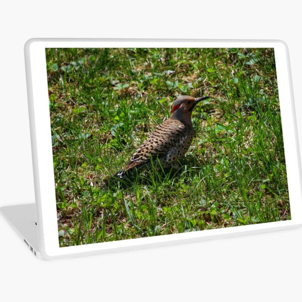 Flicker Laptop Skin