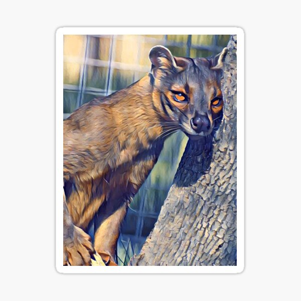 Item preview, Fossa designed and sold by Sharon the Zoo Lady Photography .
