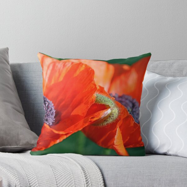 Item preview, Sunlit Poppies designed and sold by Debbie Oppermann.