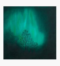 Night Music Photographic Print
