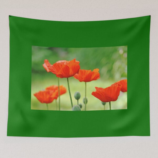 Item preview, Morning Light Poppies designed and sold by Debbie Oppermann.