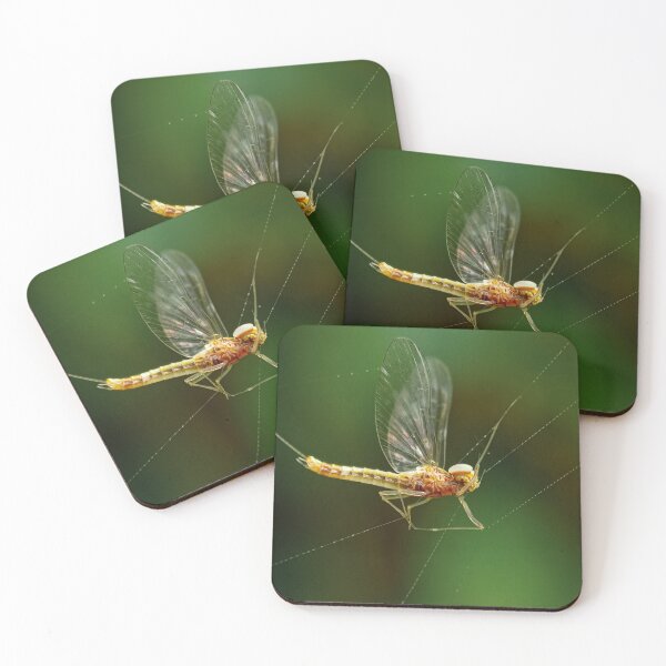 Item preview, Mayfly tangled on the spider webs designed and sold by MyPixelmate.