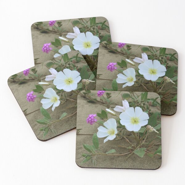 Item preview, Sand Verbenia and Desert Primrose designed and sold by CarolM.