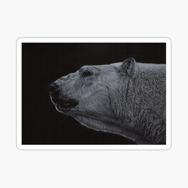 Polar Bear - Black & White Sticker