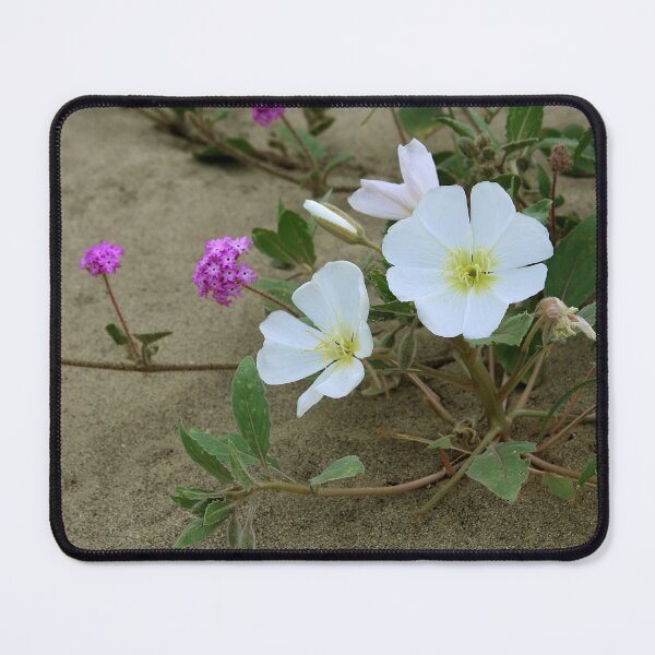 Item preview, Sand Verbenia and Desert Primrose designed and sold by CarolM.
