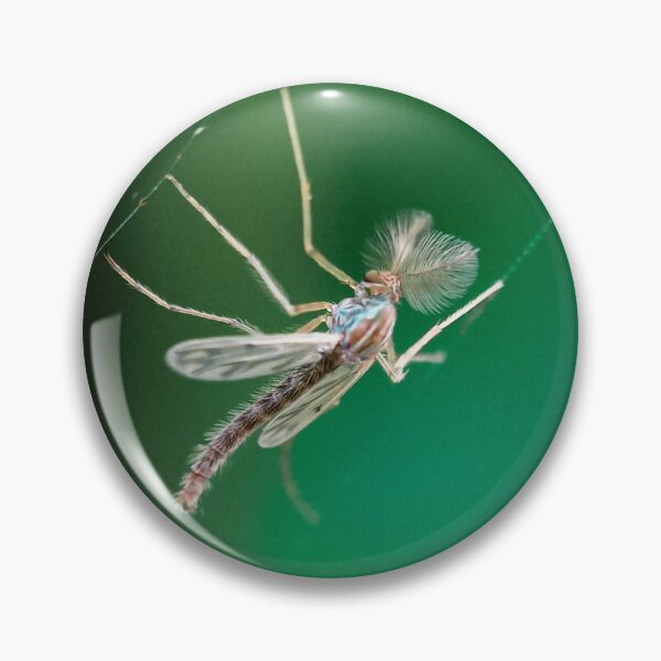Item preview, A mosquito on the spiderweb designed and sold by MyPixelmate.