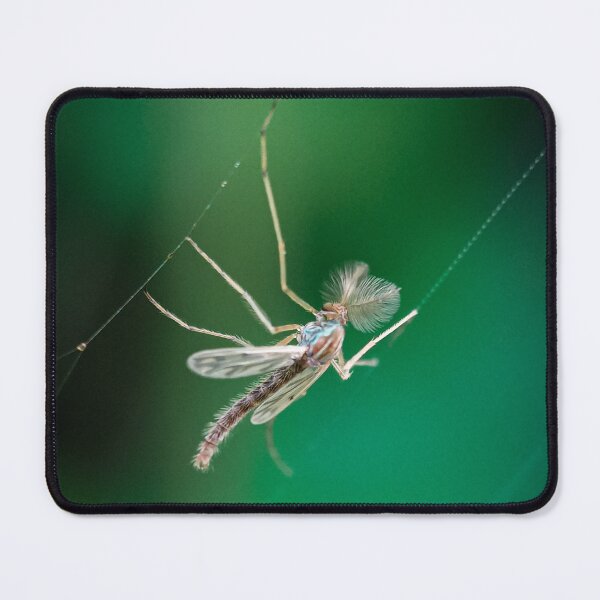 Item preview, A mosquito on the spiderweb designed and sold by MyPixelmate.