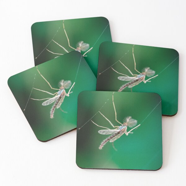 Item preview, A mosquito on the spiderweb designed and sold by MyPixelmate.