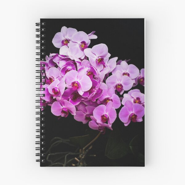 Artikelvorschau, Orchidee entworfen und verkauft von Ronny Falkenstein.