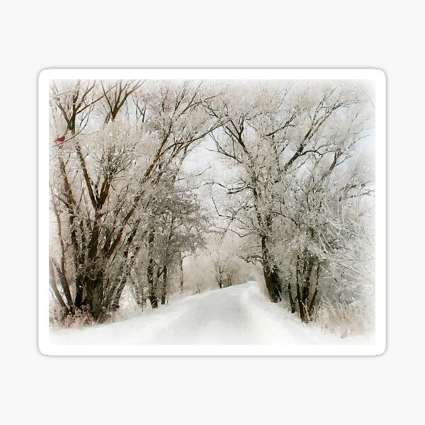 Winter Still Sticker