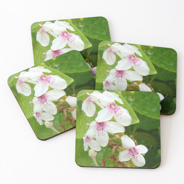 Item preview, Into the forest to take pictures of beautiful flowers to art no.29 designed and sold by greengoodnich.