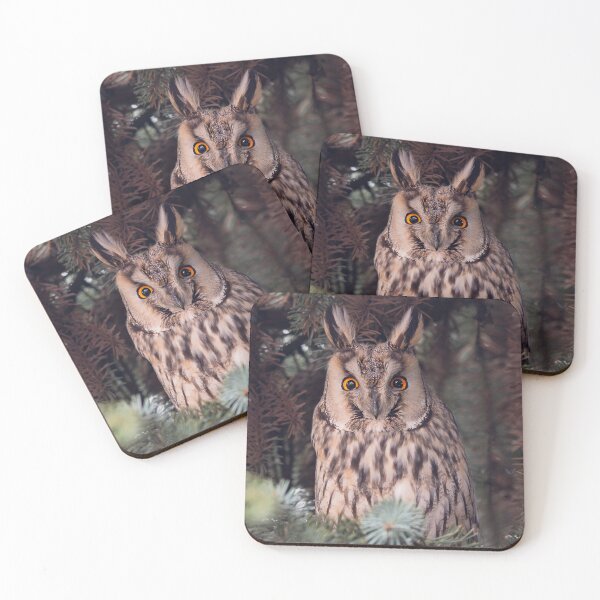 Item preview, Long-eared owl designed and sold by Puttaswamy Ravishankar.