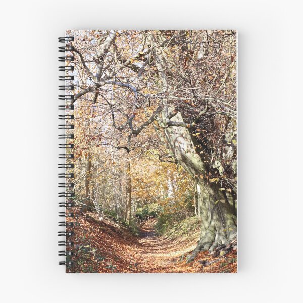 Item preview, November Walk designed and sold by John Thurgood.