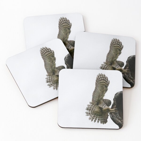 Item preview, Mama Barred owl Smooth Landing designed and sold by Puttaswamy Ravishankar.