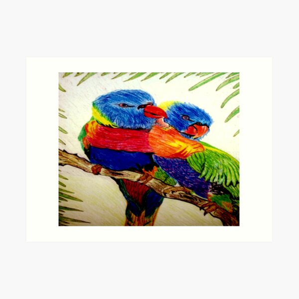 Aboriginal Art - Parrots Art Print