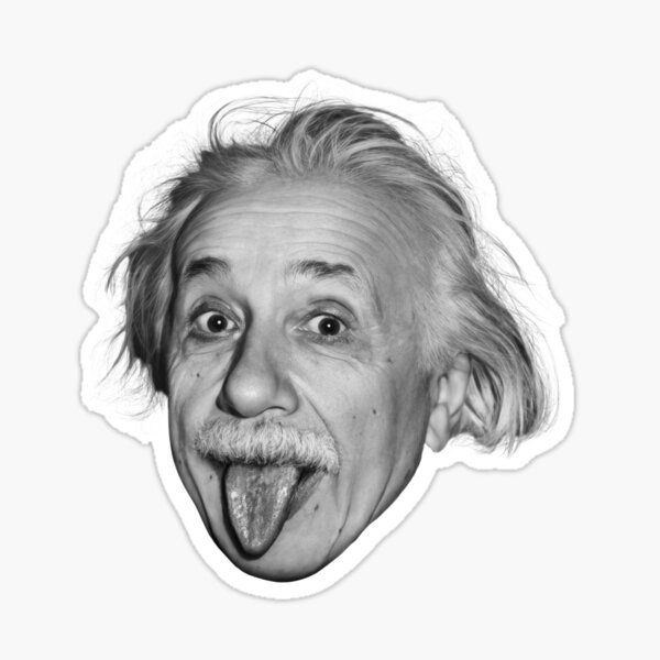 twee weken atoom roterend Albert Einstein Stickers for Sale | Redbubble