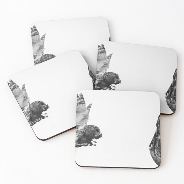 Item preview, Mama Barred owl bringing food to its baby designed and sold by Puttaswamy Ravishankar.