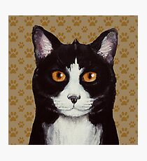 Tuxedo Photographic Print