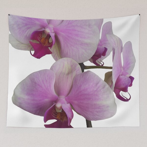 Item preview, Orchid Orgy2 designed and sold by LindaLou1952.