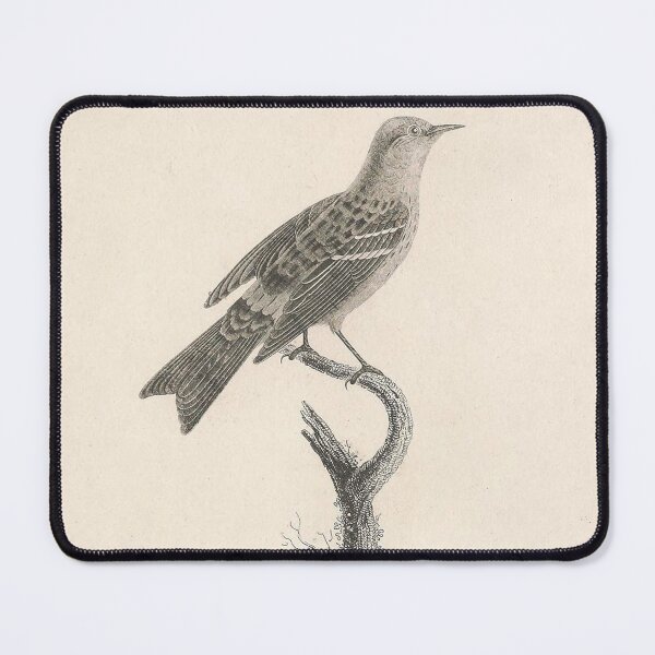 Item preview, The Crowned Warbler Young Age designed and sold by ptMaker.