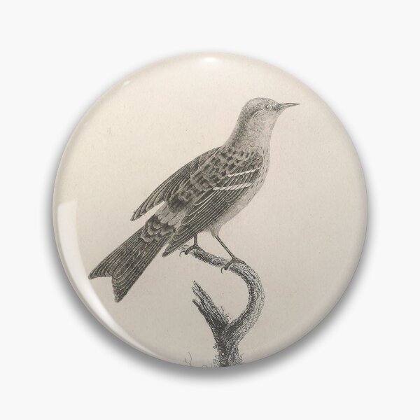 Item preview, The Crowned Warbler Young Age designed and sold by ptMaker.