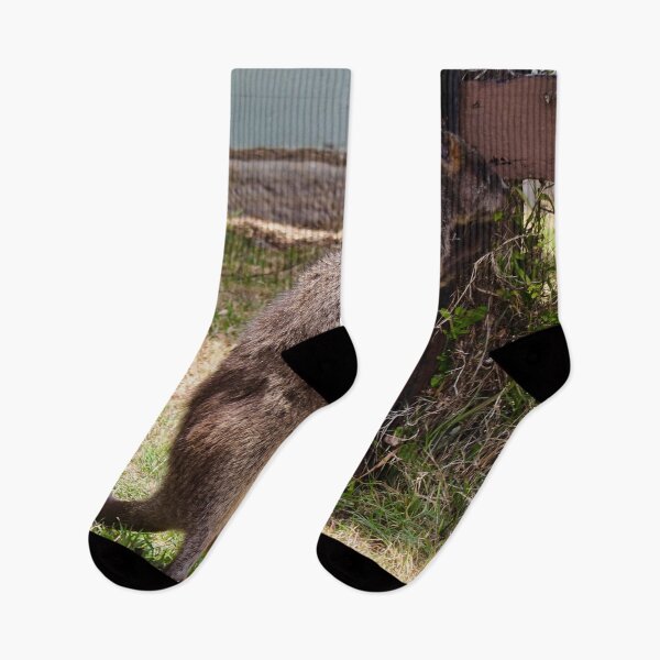 Item preview, The Wallaby Feeds! designed and sold by Mickangelhere.