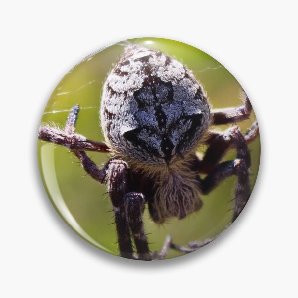 Item preview, Orb Weaver Spider in the Bush! designed and sold by Mickangelhere.
