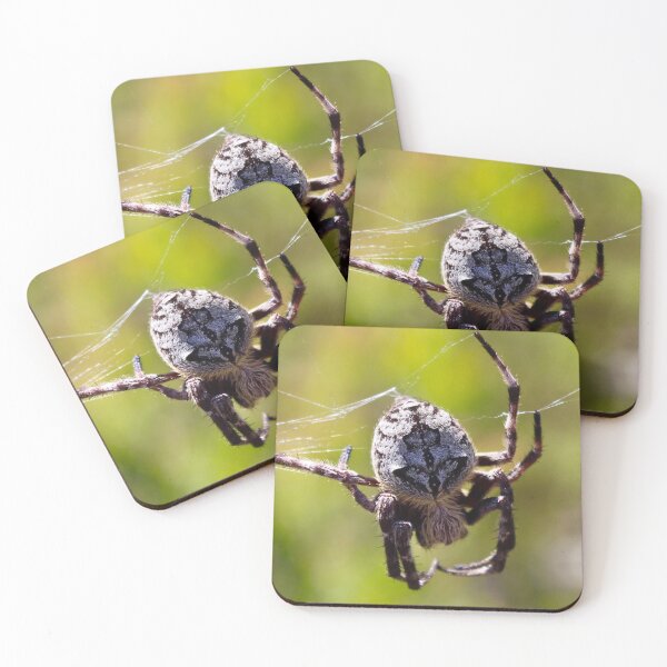Item preview, Orb Weaver Spider in the Bush! designed and sold by Mickangelhere.