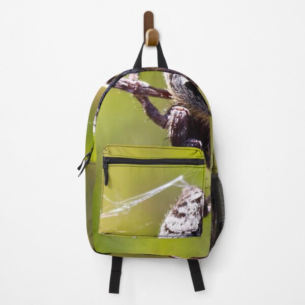 Item preview, Orb Weaver Spider in the Bush! designed and sold by Mickangelhere.