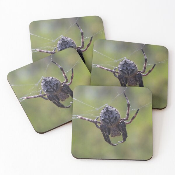 Item preview, The Orb Weaver Hanging out in the Bush! designed and sold by Mickangelhere.