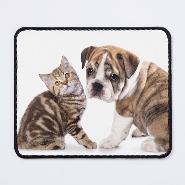 Item preview, Cat and dog friends with sweet looks designed and sold by professorguru.