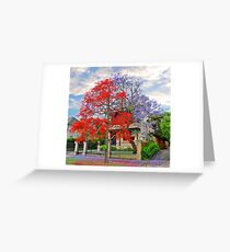 Illawarra Flame tree & Jacaranda Greeting Card