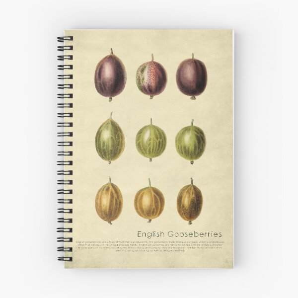 Item preview, English Gooseberries With Description designed and sold by ptMaker.