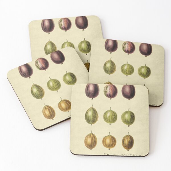 Item preview, English Gooseberries With Description designed and sold by ptMaker.
