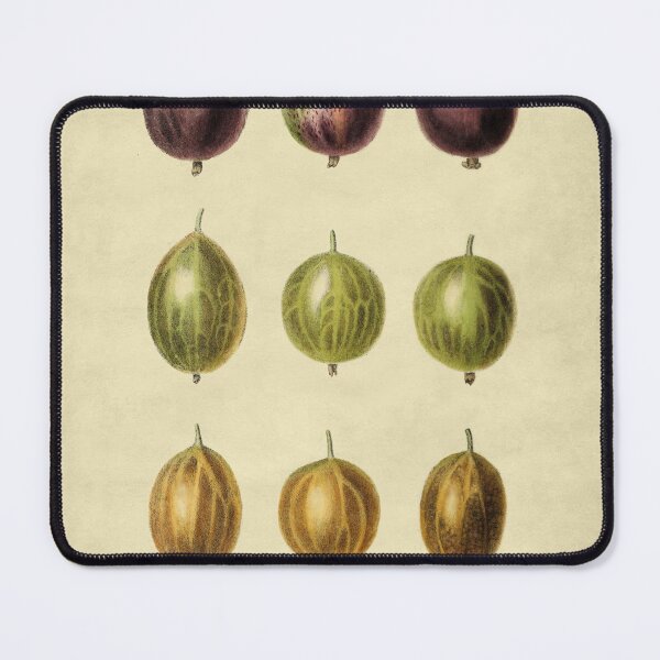 Item preview, English Gooseberries With Description designed and sold by ptMaker.